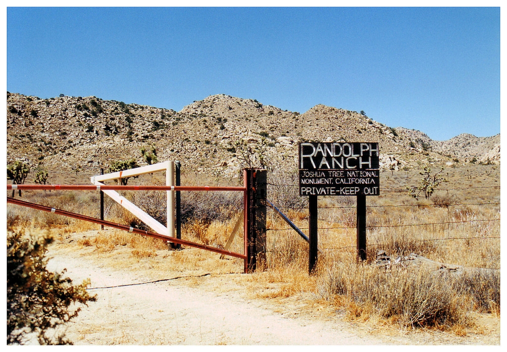 13 - Joshua Tree NP (2).jpg